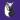 Owls